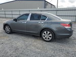 2009 Honda Accord Exl Gray vin: 1HGCP368X9A029098