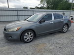 2009 Honda Accord Exl Gray vin: 1HGCP368X9A029098