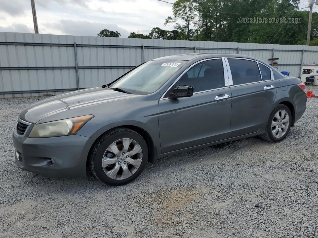 2009 Honda Accord Exl Gray vin: 1HGCP368X9A029098