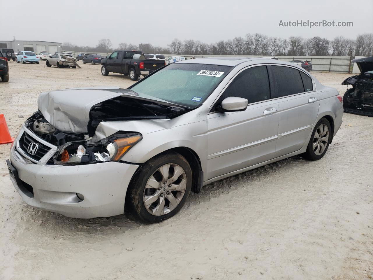 2009 Honda Accord Exl Silver vin: 1HGCP368X9A031613