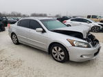 2009 Honda Accord Exl Silver vin: 1HGCP368X9A031613