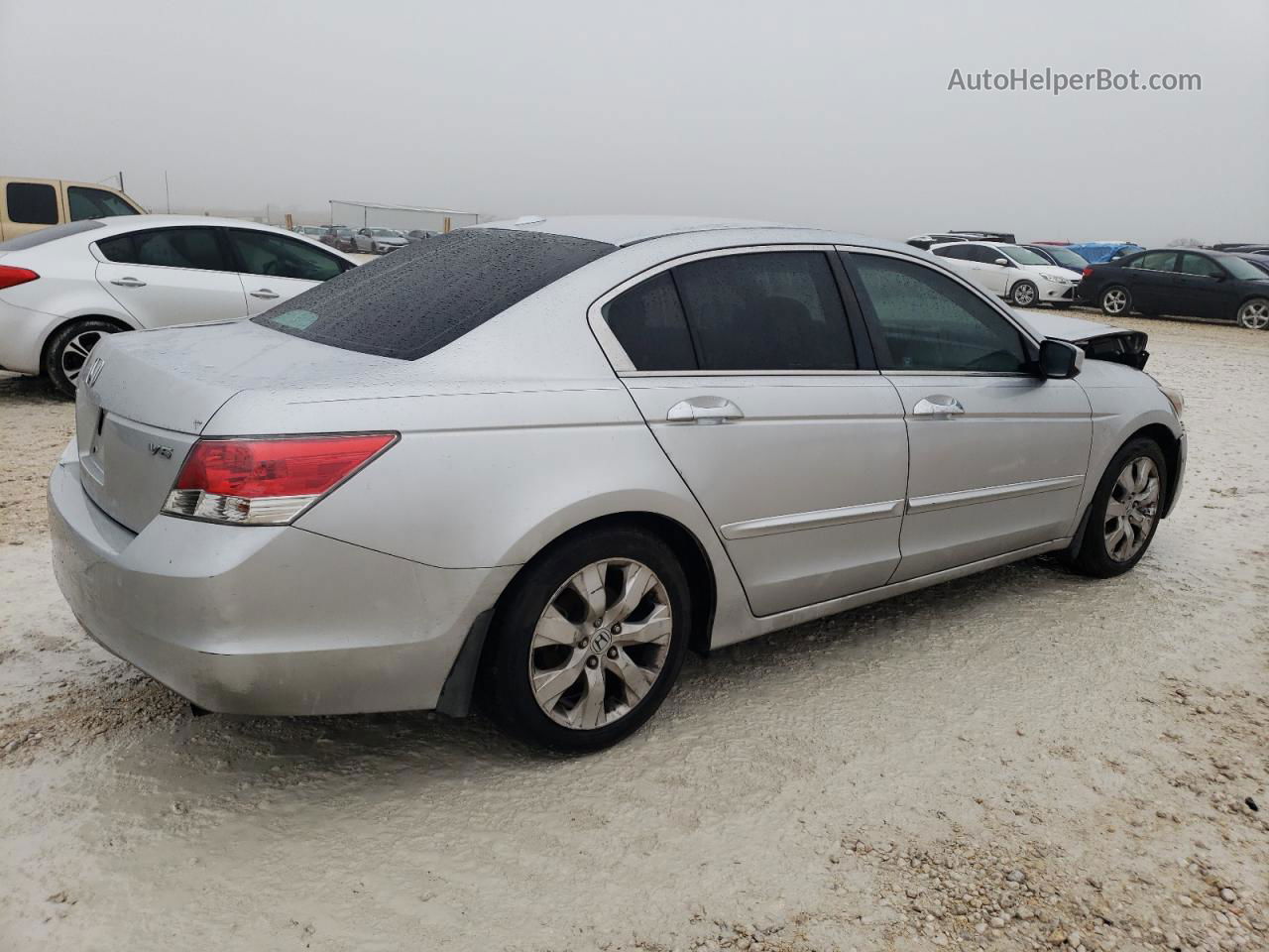 2009 Honda Accord Exl Silver vin: 1HGCP368X9A031613