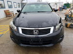 2010 Honda Accord Exl Черный vin: 1HGCP3F83AA031005