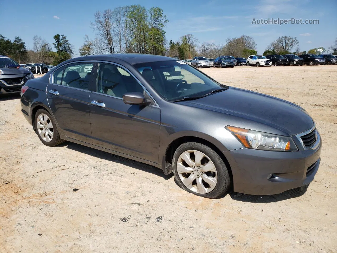 2010 Honda Accord Exl Серый vin: 1HGCP3F85AA014223