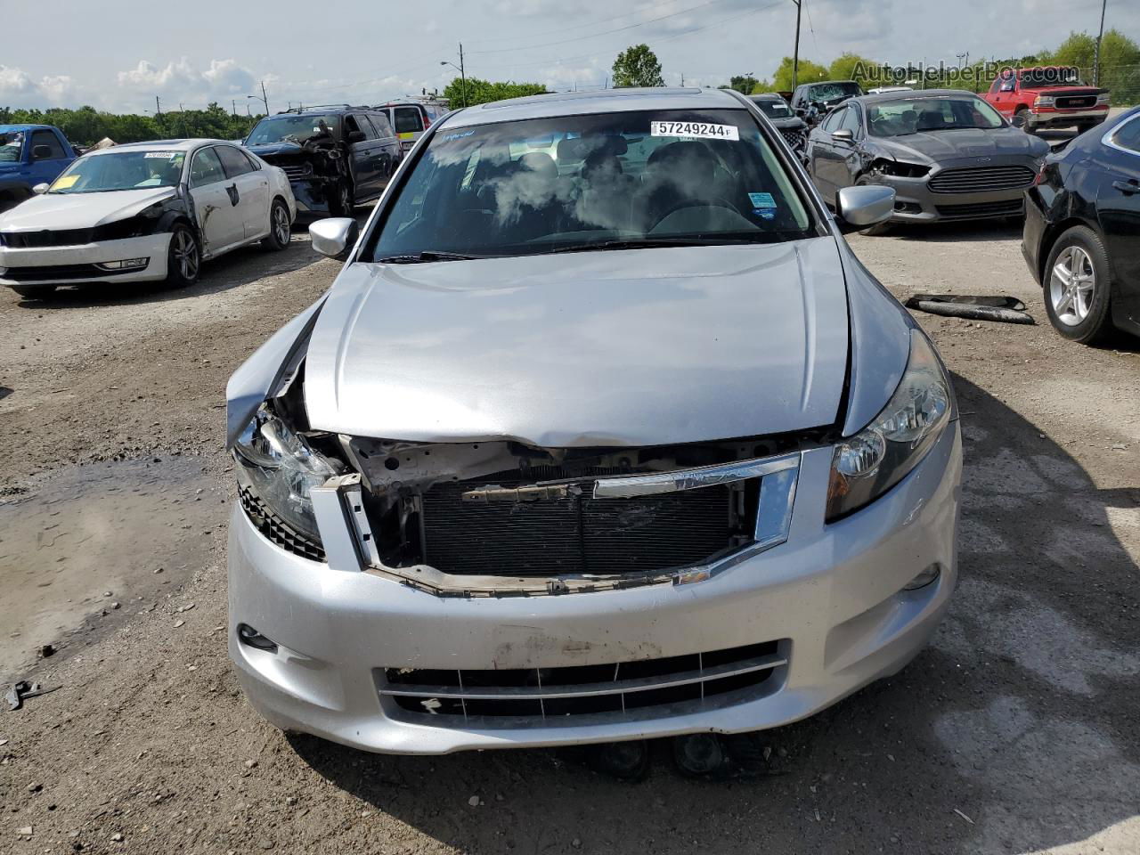 2010 Honda Accord Exl Silver vin: 1HGCP3F85AA019311