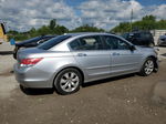 2010 Honda Accord Exl Silver vin: 1HGCP3F85AA019311