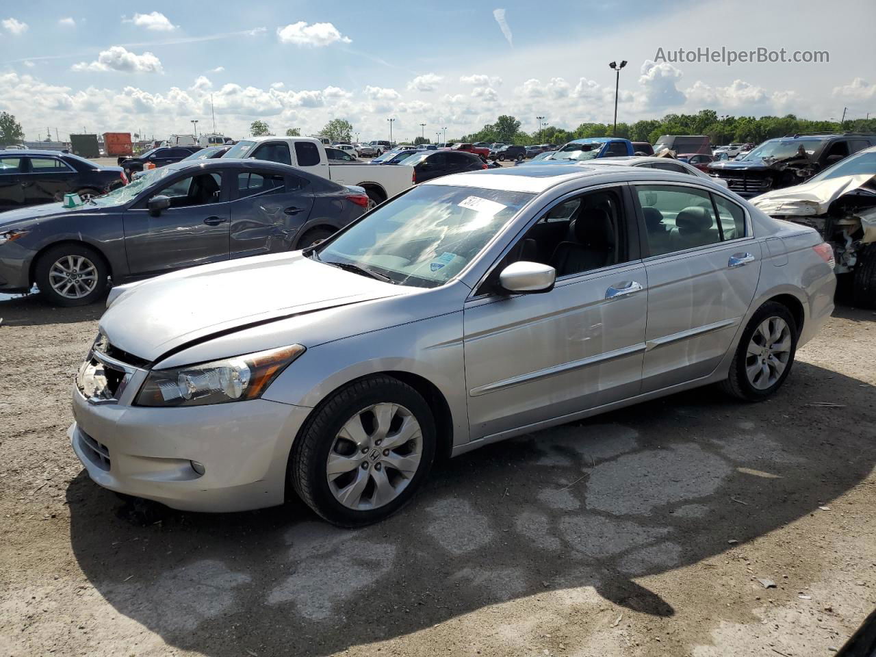 2010 Honda Accord Exl Silver vin: 1HGCP3F85AA019311