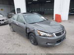 2010 Honda Accord 3.5 Ex-l Gray vin: 1HGCP3F88AA010540