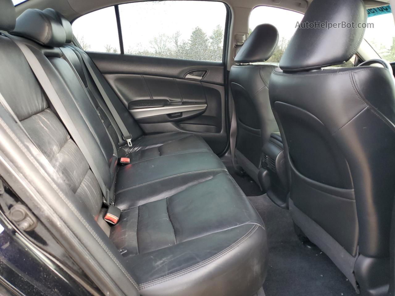 2010 Honda Accord Exl Black vin: 1HGCP3F8XAA014296