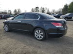 2010 Honda Accord Exl Black vin: 1HGCP3F8XAA014296