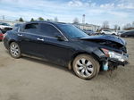 2010 Honda Accord Exl Black vin: 1HGCP3F8XAA014296