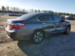 2015 Honda Accord Lx Gray vin: 1HGCR2E34FA207464