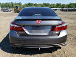 2017 Honda Accord Sport Special Edition Серый vin: 1HGCR2F14HA165345