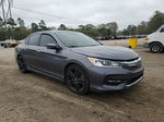 2017 Honda Accord Sport Special Edition Gray vin: 1HGCR2F14HA178693