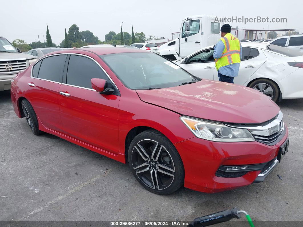 2017 Honda Accord Sport Se Красный vin: 1HGCR2F16HA063416