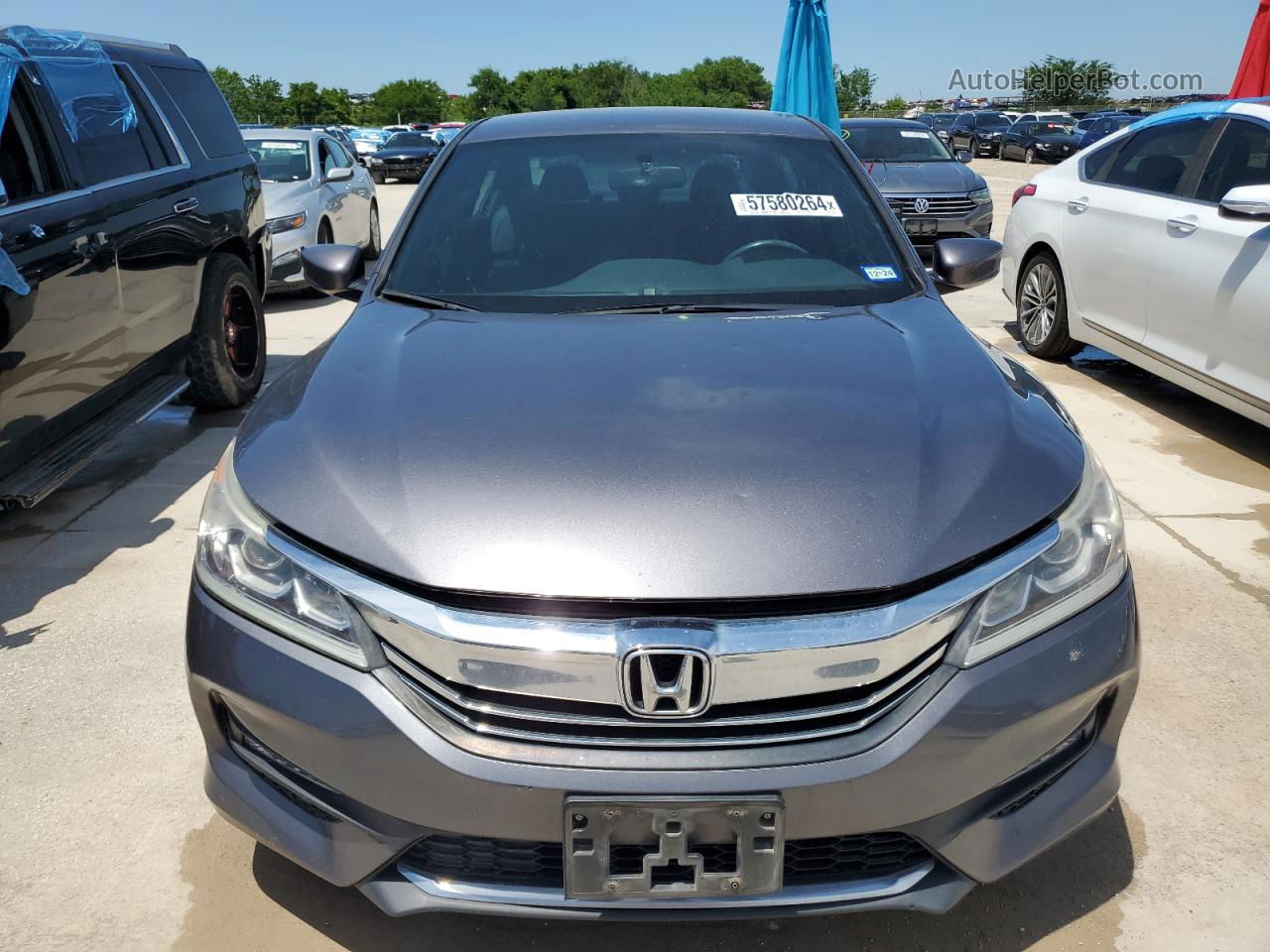 2017 Honda Accord Sport Special Edition Gray vin: 1HGCR2F18HA199644