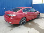 2017 Honda Accord Sport Special Edition Red vin: 1HGCR2F18HA205913