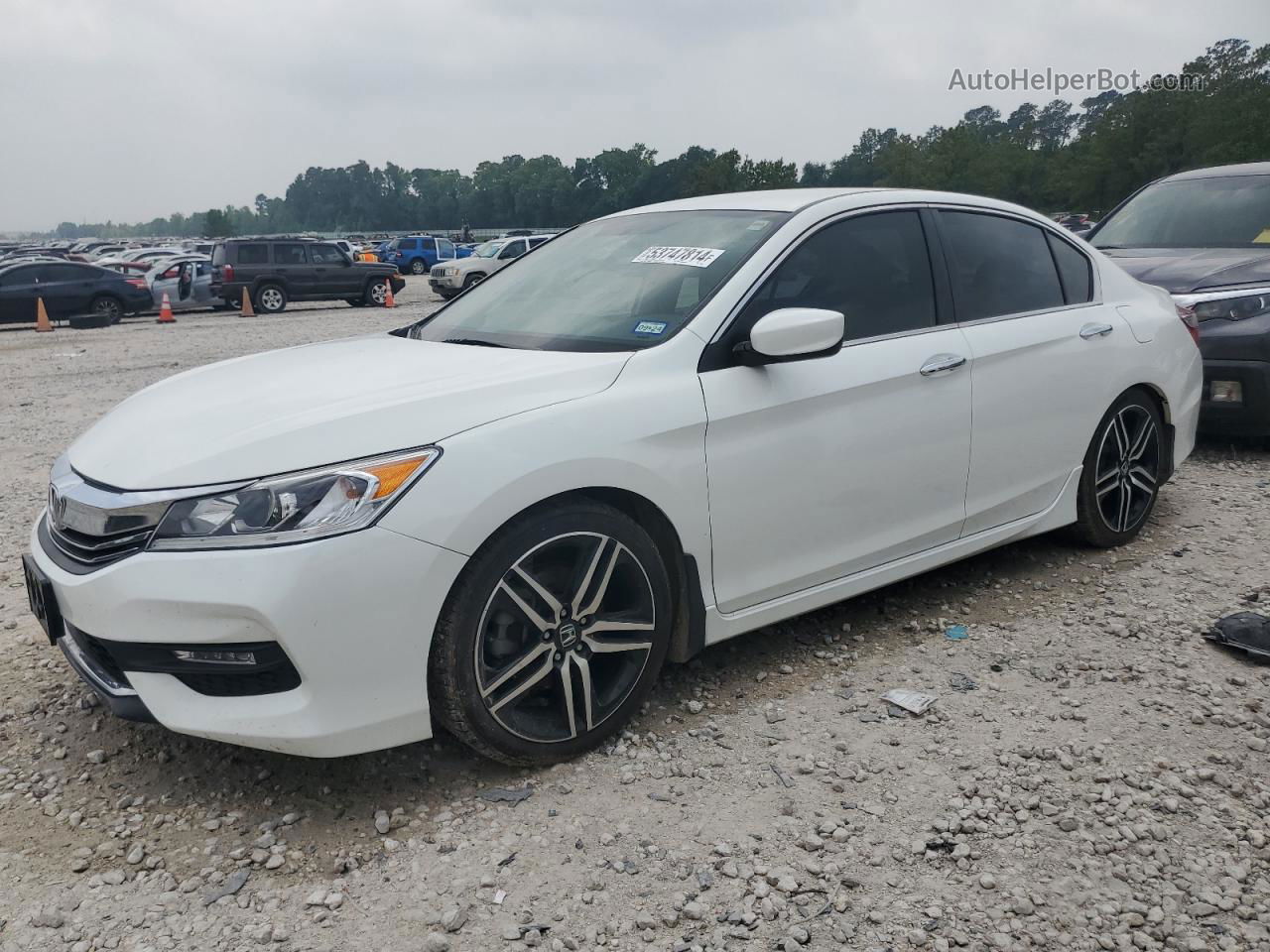 2017 Honda Accord Sport Special Edition White vin: 1HGCR2F19HA238905