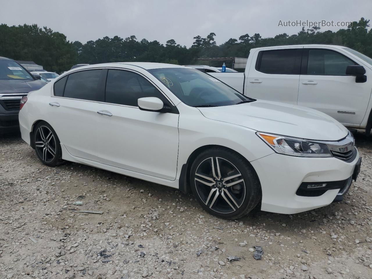 2017 Honda Accord Sport Special Edition White vin: 1HGCR2F19HA238905