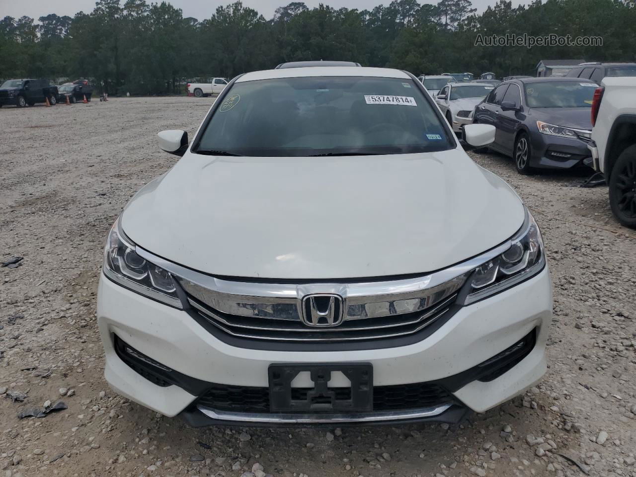 2017 Honda Accord Sport Special Edition White vin: 1HGCR2F19HA238905