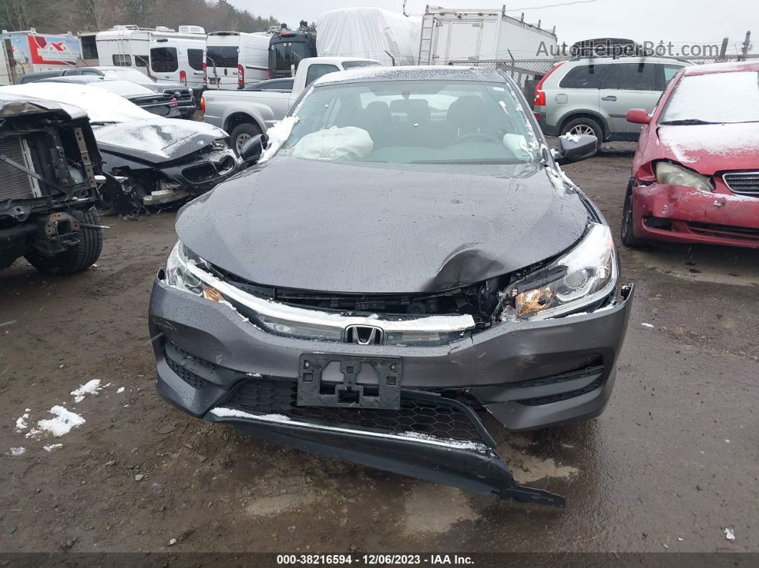 2016 Honda Accord Lx Серый vin: 1HGCR2F30GA092409