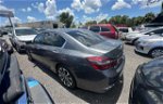 2016 Honda Accord Lx Gray vin: 1HGCR2F30GA174169