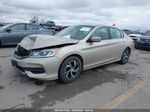 2017 Honda Accord Lx Золотой vin: 1HGCR2F30HA180944