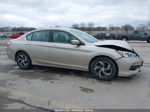 2017 Honda Accord Lx Gold vin: 1HGCR2F30HA180944