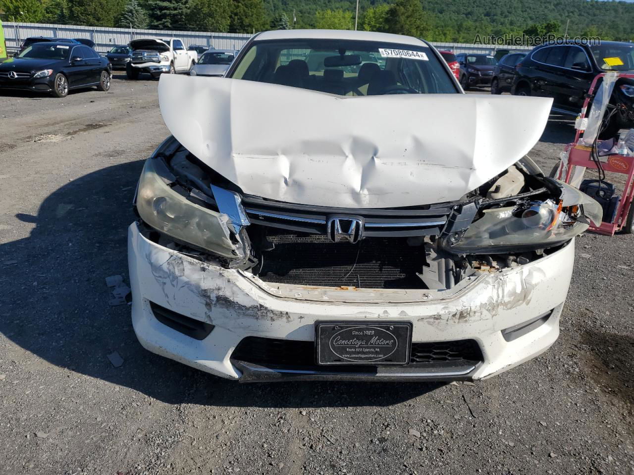 2014 Honda Accord Lx White vin: 1HGCR2F31EA051364