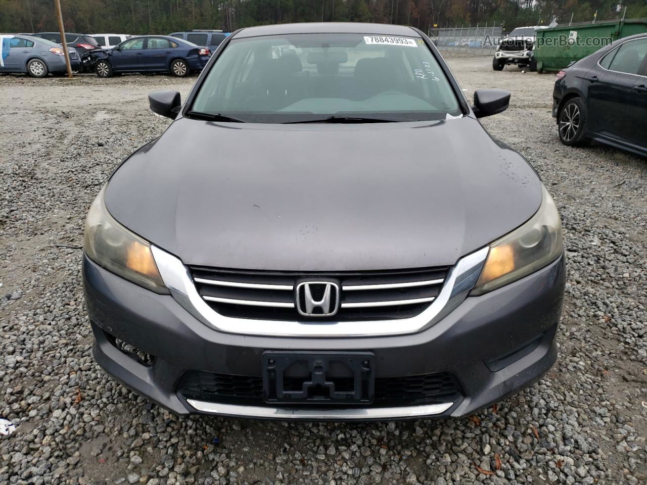 2014 Honda Accord Lx Gray vin: 1HGCR2F31EA097308