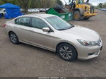 2014 Honda Accord Lx Бежевый vin: 1HGCR2F31EA176459