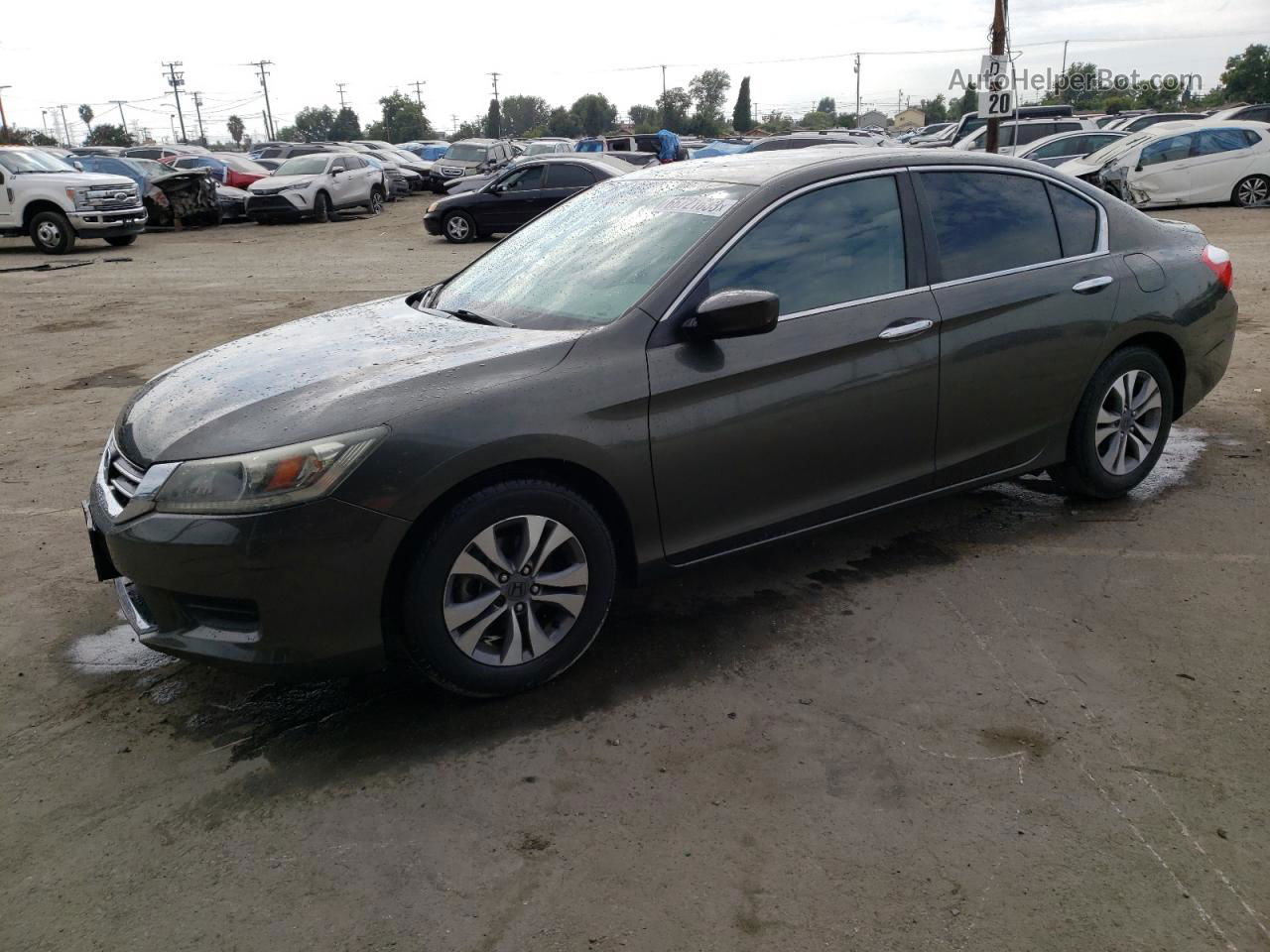 2014 Honda Accord Lx Gray vin: 1HGCR2F31EA238989