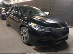 2017 Honda Accord Sedan Lx Черный vin: 1HGCR2F31HA123393