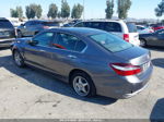 2017 Honda Accord Lx Gray vin: 1HGCR2F31HA133261