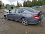 2017 Honda Accord Lx Gray vin: 1HGCR2F31HA216091