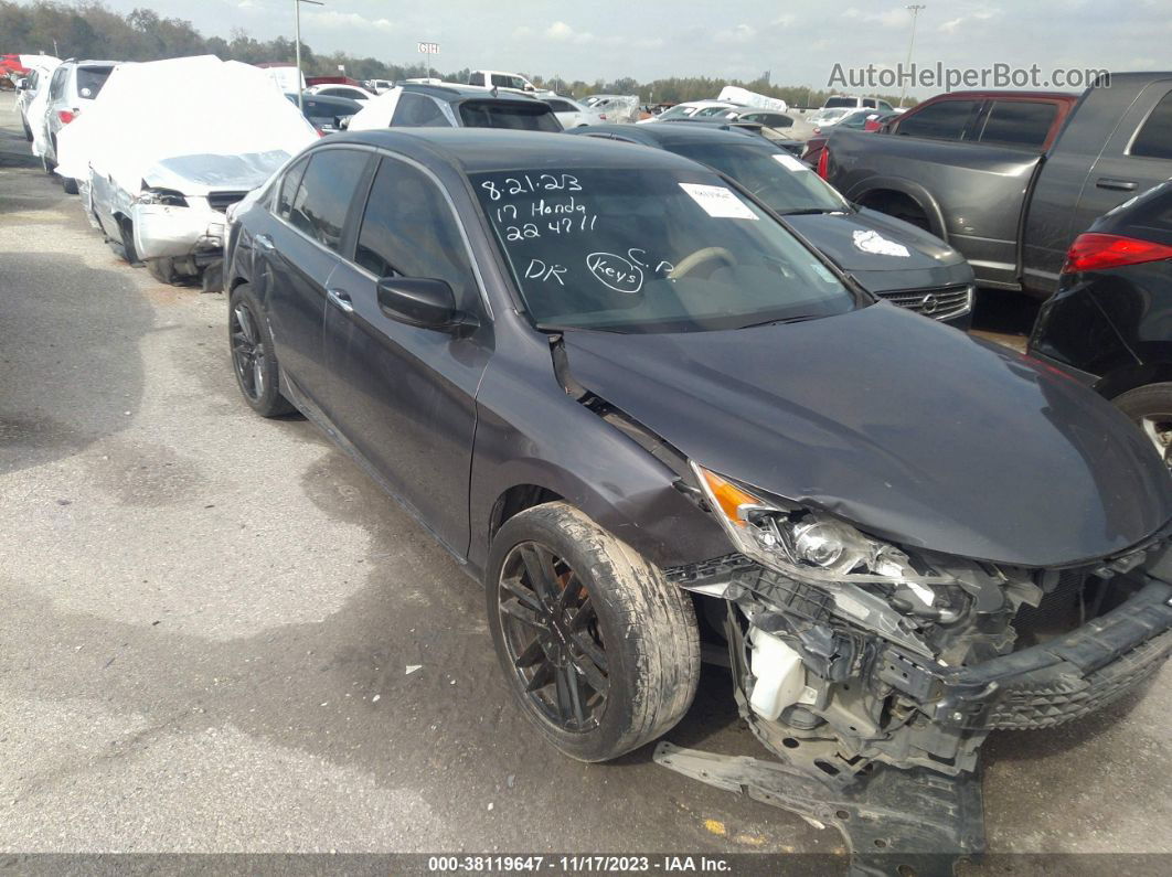 2017 Honda Accord Lx Gray vin: 1HGCR2F31HA224711