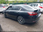 2017 Honda Accord Lx Черный vin: 1HGCR2F31HA238026