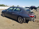 2017 Honda Accord Lx Серый vin: 1HGCR2F31HA302064