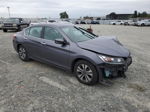 2014 Honda Accord Lx Gray vin: 1HGCR2F32EA188040