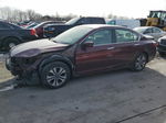 2014 Honda Accord Lx Burgundy vin: 1HGCR2F32EA301517