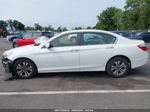 2015 Honda Accord Sedan Lx Белый vin: 1HGCR2F32FA223225