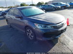 2017 Honda Accord Lx Gray vin: 1HGCR2F32HA072549