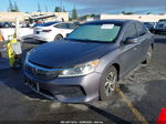 2017 Honda Accord Lx Gray vin: 1HGCR2F32HA072549