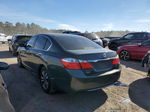 2014 Honda Accord Lx Gray vin: 1HGCR2F33EA006426