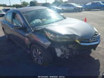 2014 Honda Accord Lx Gray vin: 1HGCR2F33EA045761