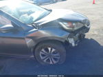 2014 Honda Accord Lx Gray vin: 1HGCR2F33EA045761