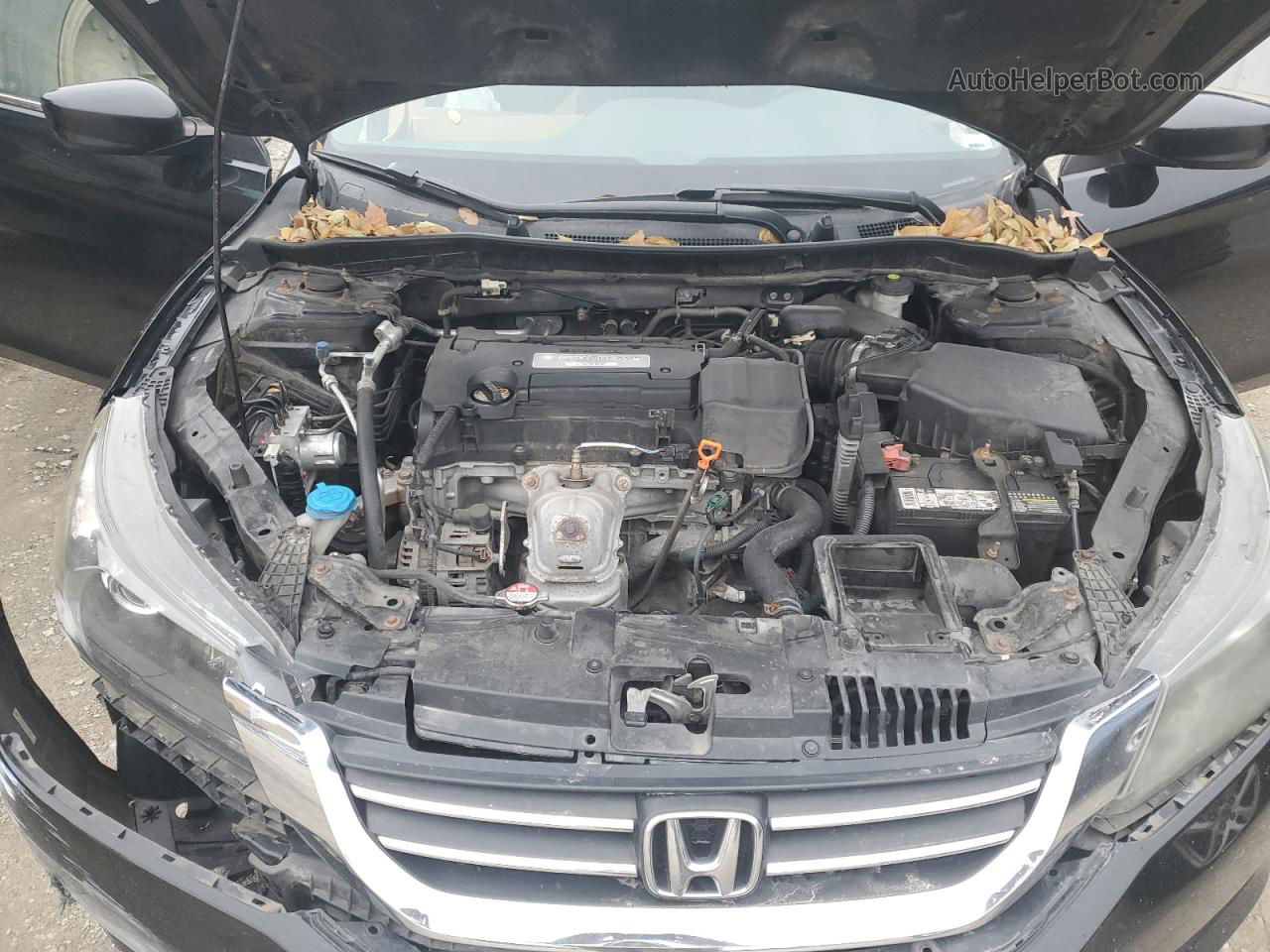 2014 Honda Accord Lx Черный vin: 1HGCR2F33EA071521