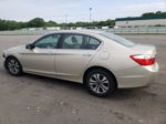 2014 Honda Accord Lx Бежевый vin: 1HGCR2F33EA083006