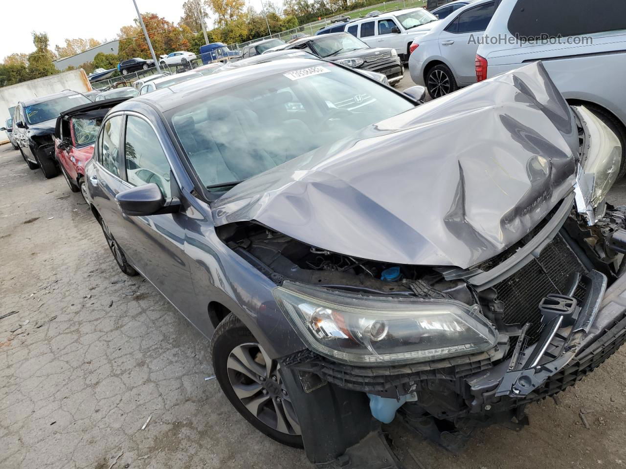 2014 Honda Accord Lx Серый vin: 1HGCR2F33EA097875