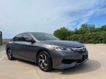 2017 Honda Accord Lx Gray vin: 1HGCR2F33HA210521